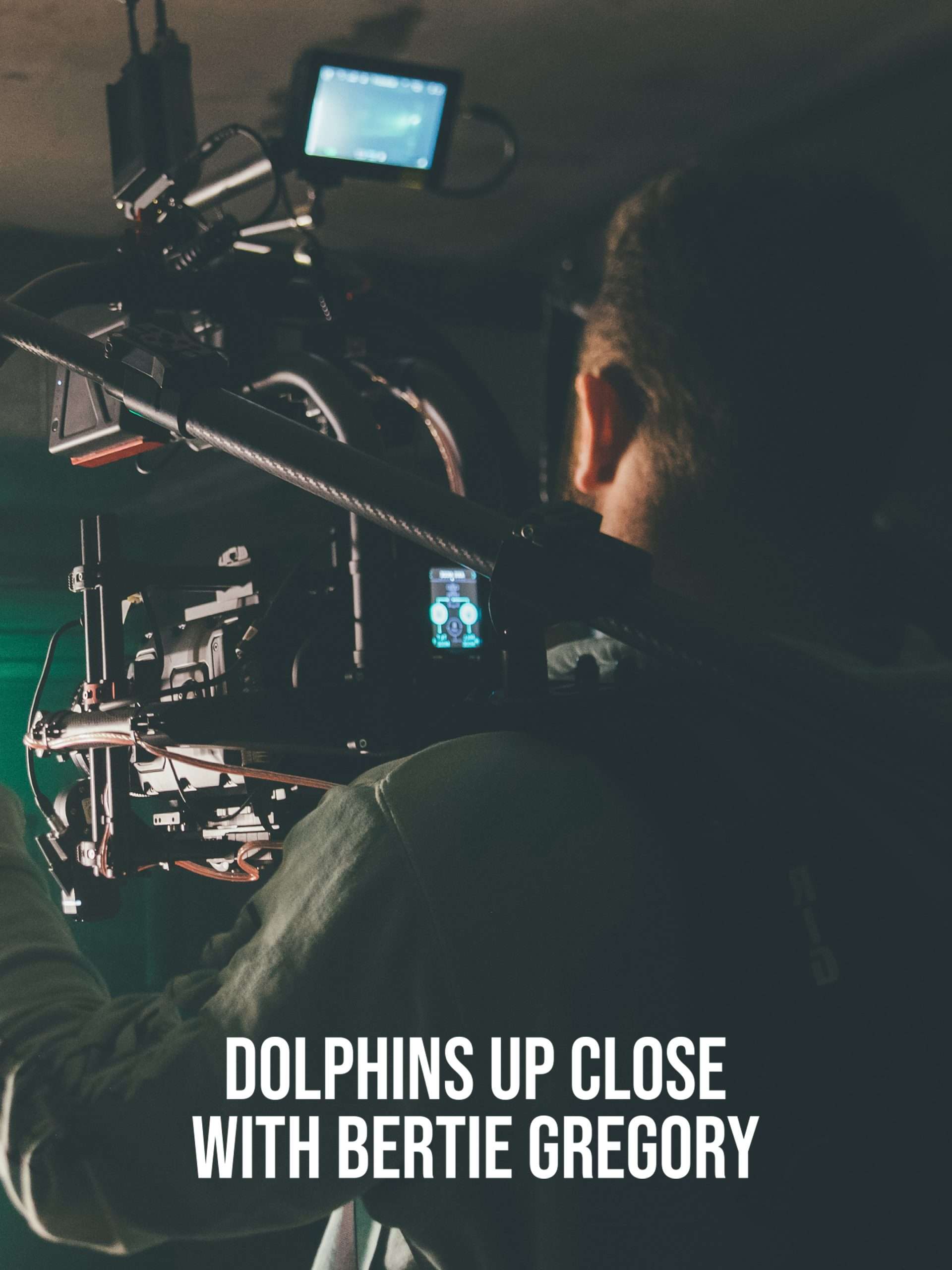 Dolphins Up Close with Bertie Gregory  September 18 2025 on National Geographic