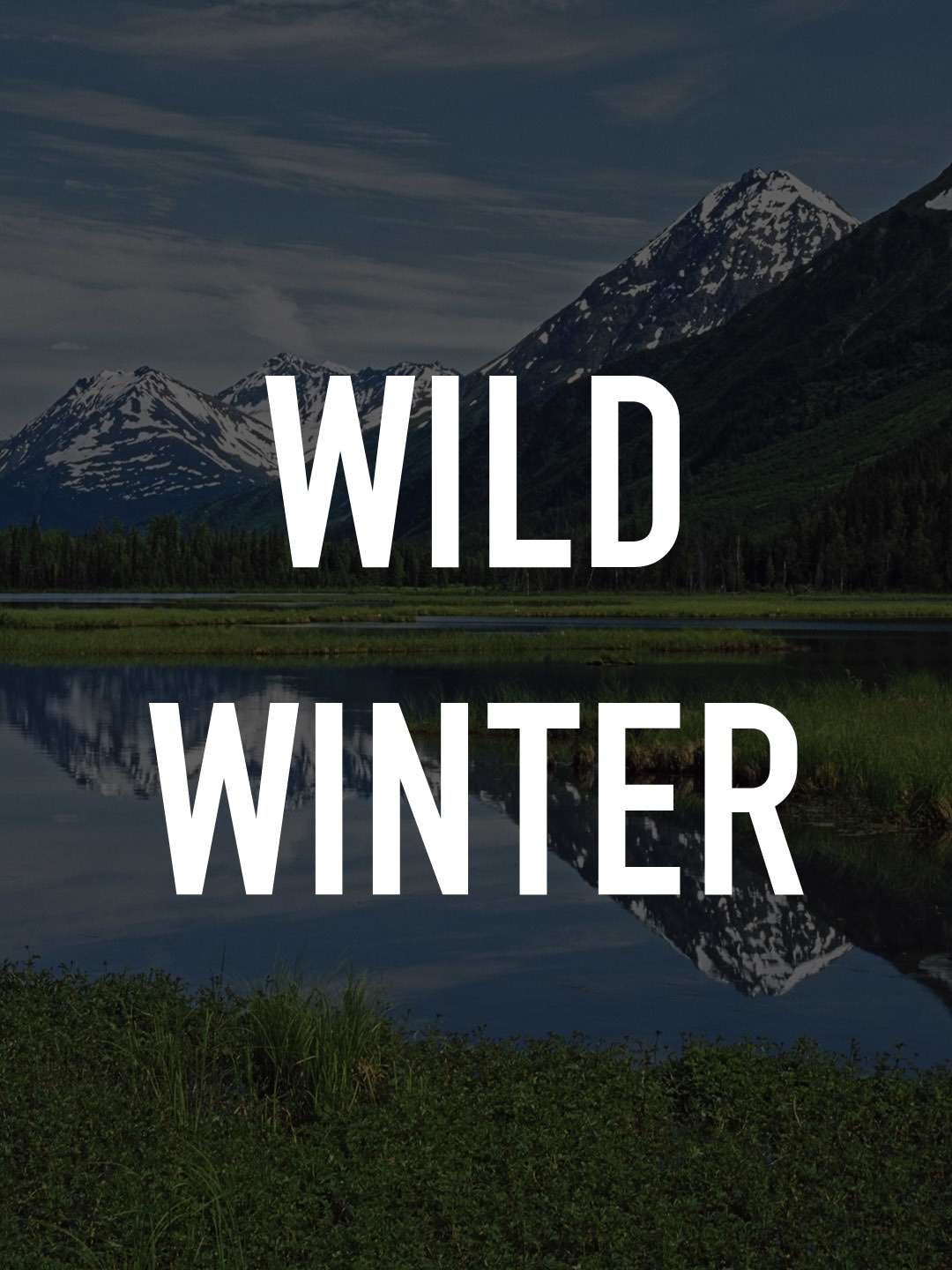 Wild Winter “Adaptation – 1” September 22 2025 on EARTHX