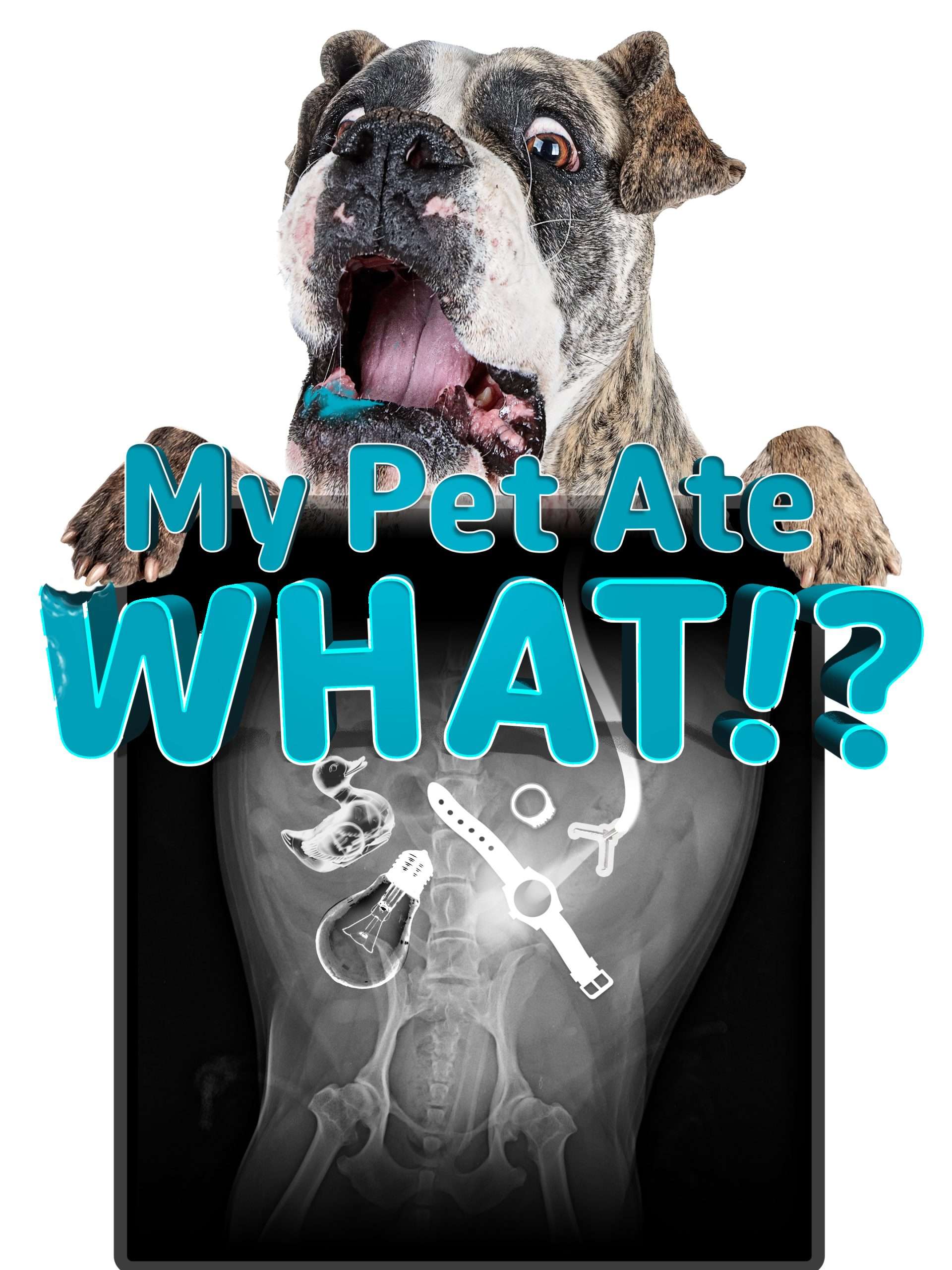 My Pet Ate What? “That’s A Wrap, Folks” S1E11 December 6 2025 on Animal Planet