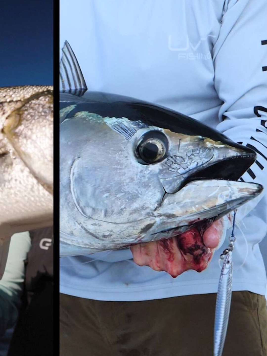 Sport Fishing TV: Vs. “Best of SFTV Vs.” S1E11 October 18 2025 on Discovery