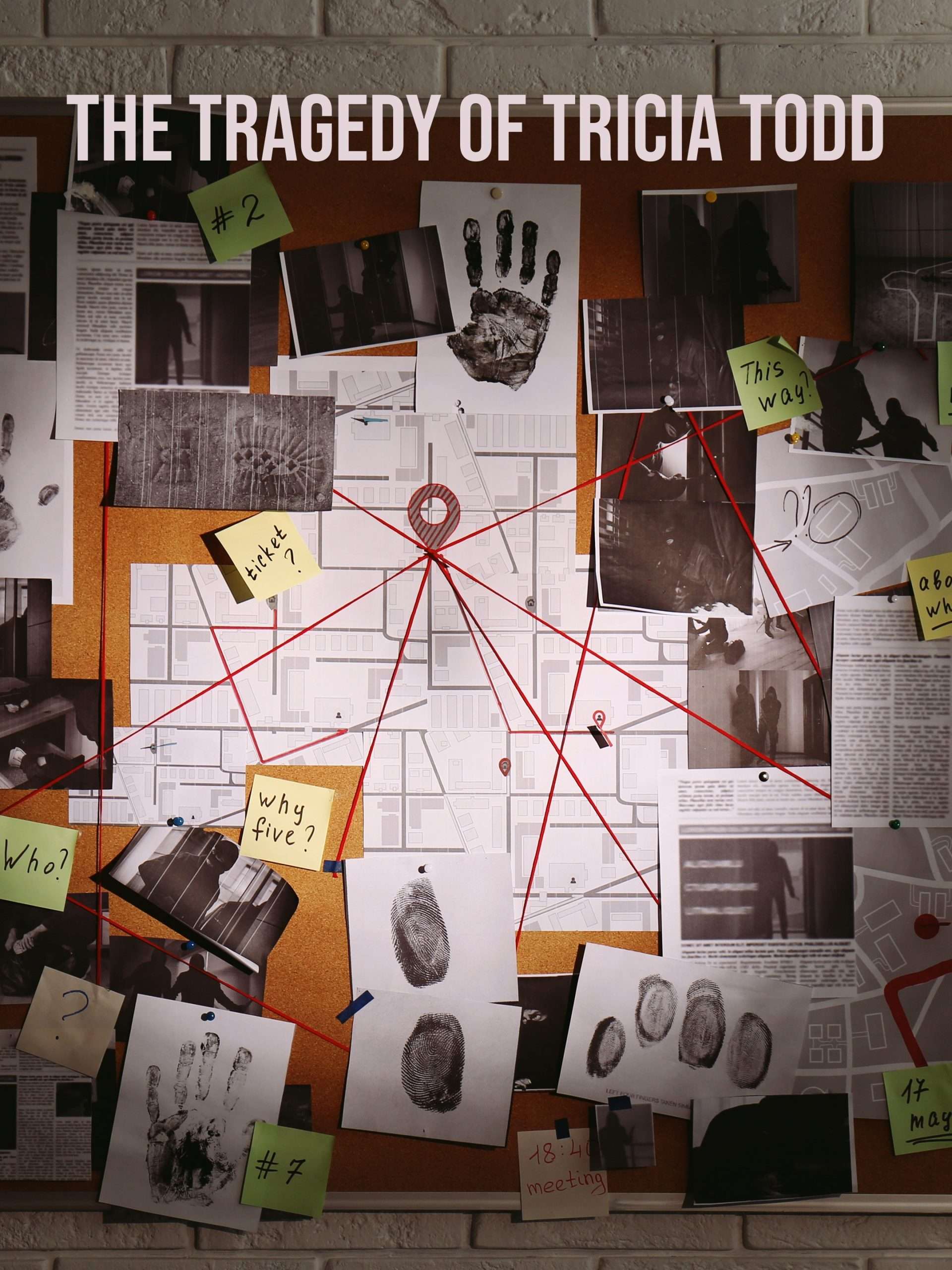 The Tragedy of Tricia Todd  October 6 2025 on Investigation Discovery