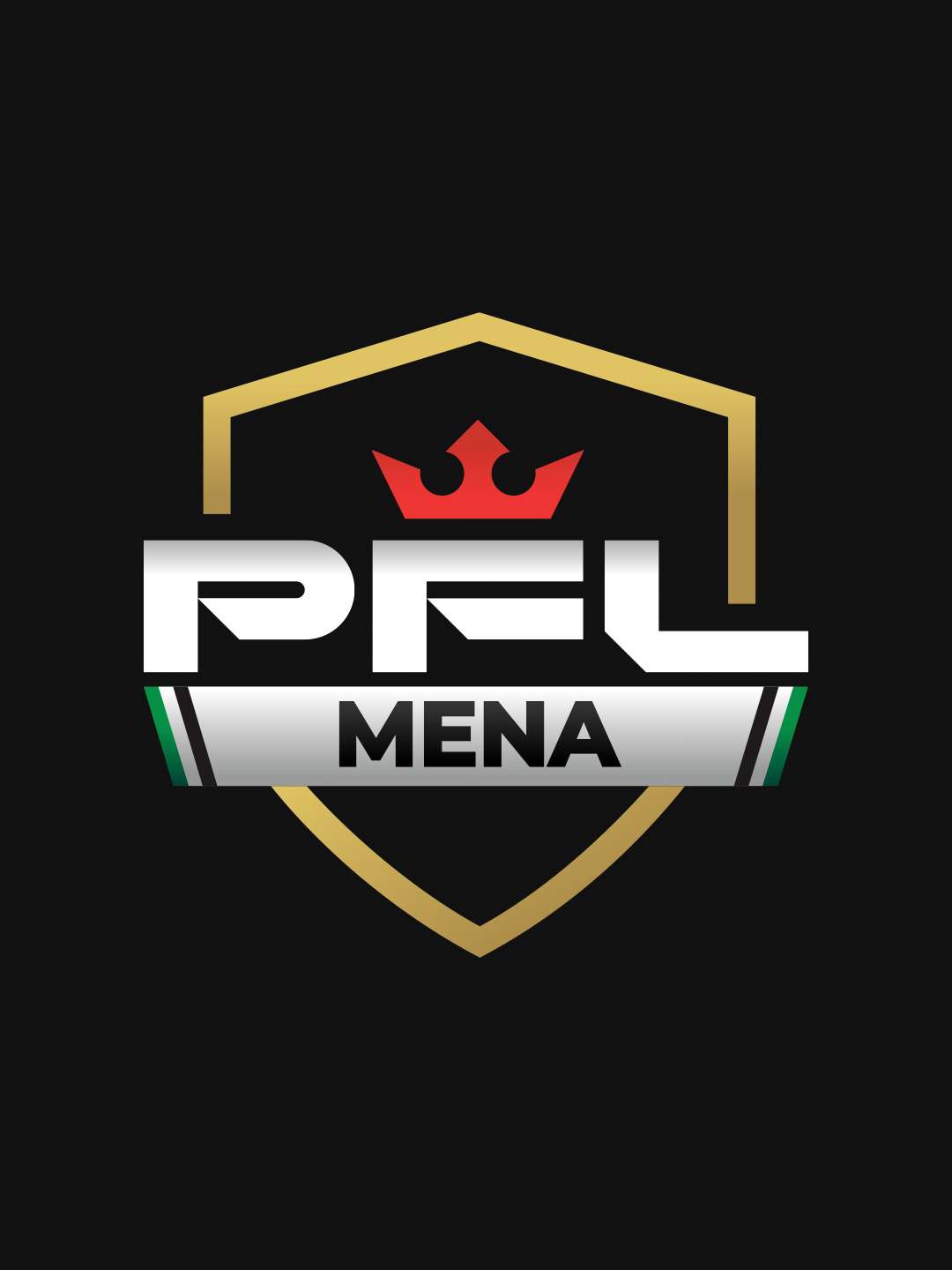 Professional Fighters League Mena “Finals: All or Nothing” December 5 2025 on Vice