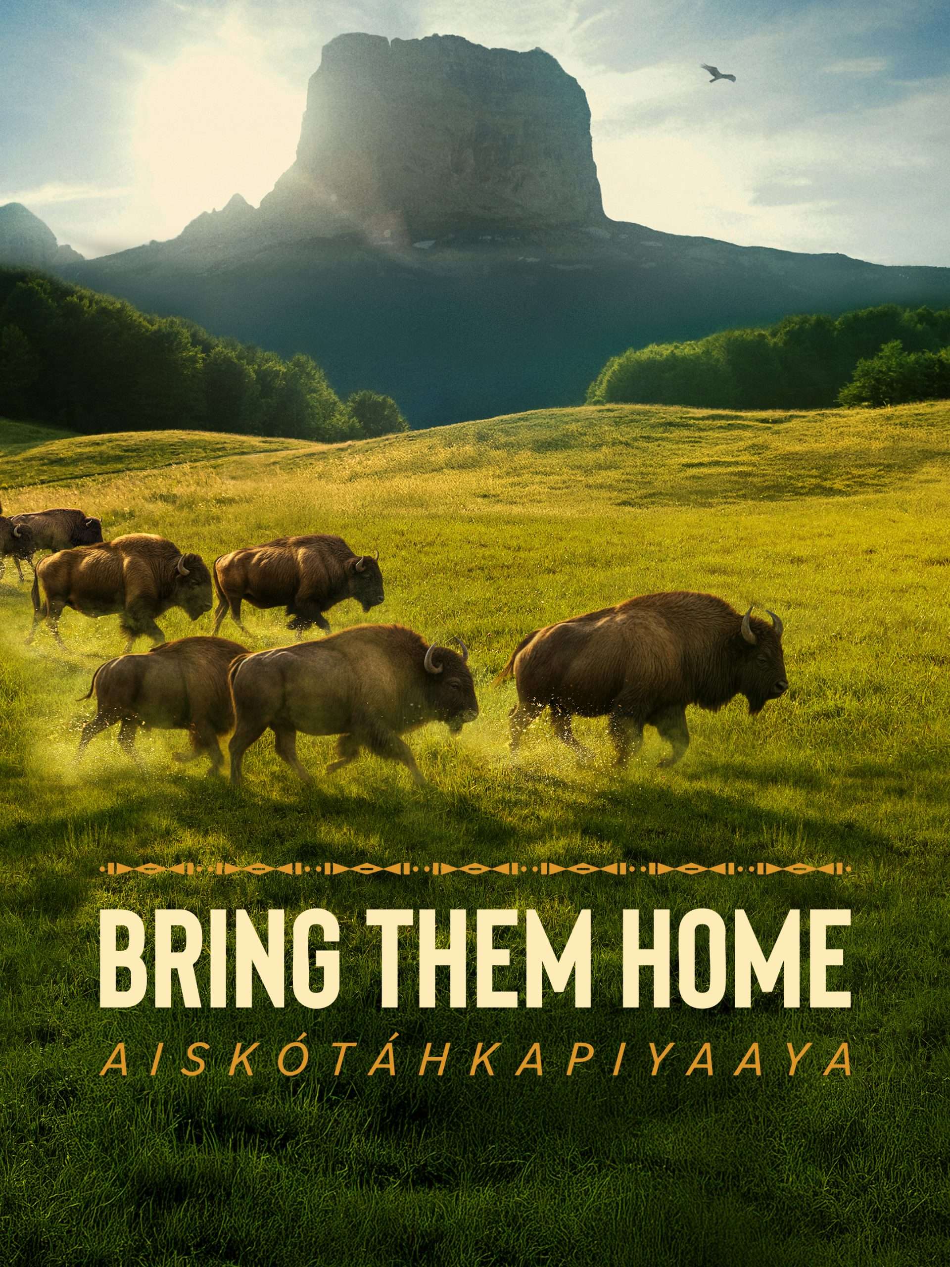 Bring Them Home  November 24 2025 on PBS