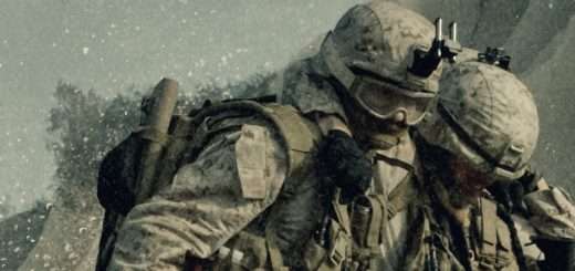 p31448541 b v13 aa 1