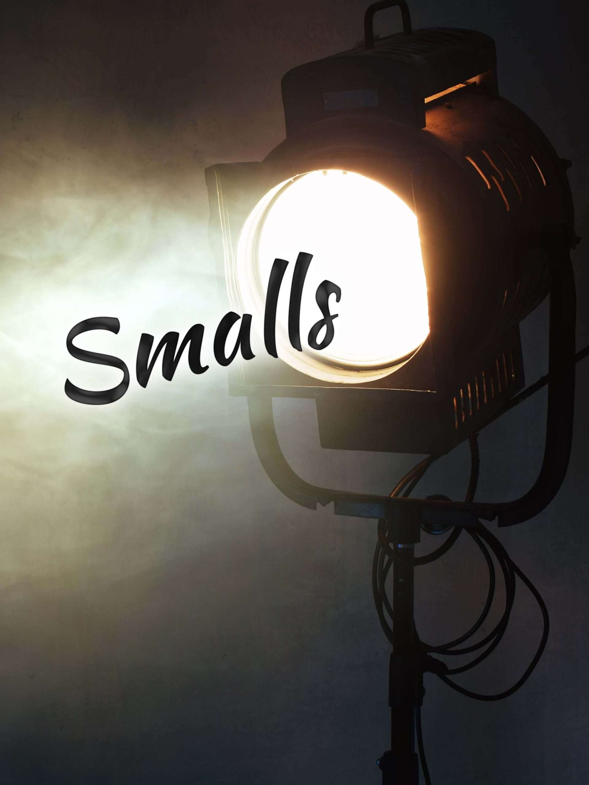 Smalls Smalls “Floor 999” S7E6 December 15 2025 on Cartoon Network