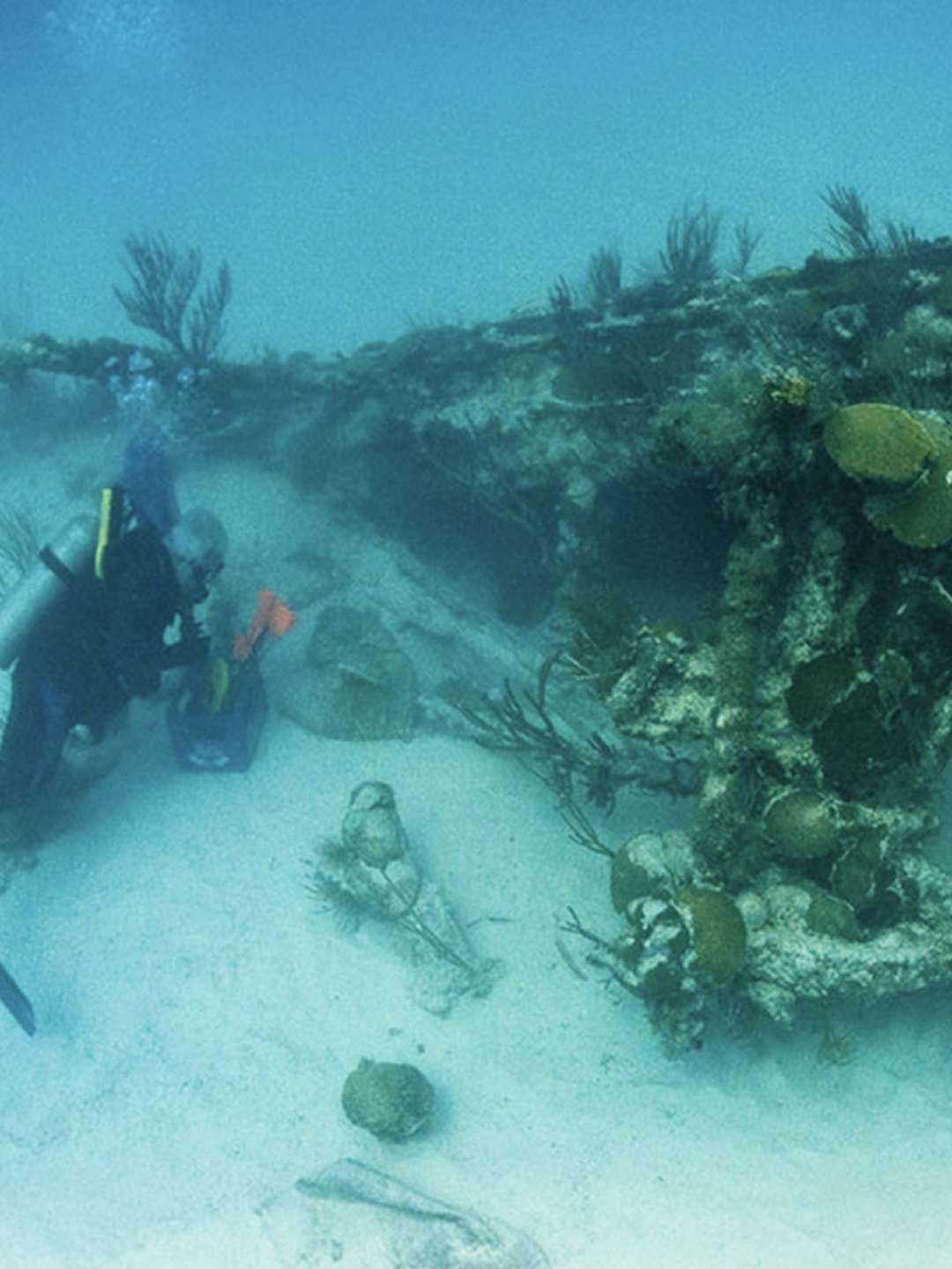 Discovered By Disaster “Timeless Tombs and Modern Survivors” E8 January 29 2026 on National Geographic