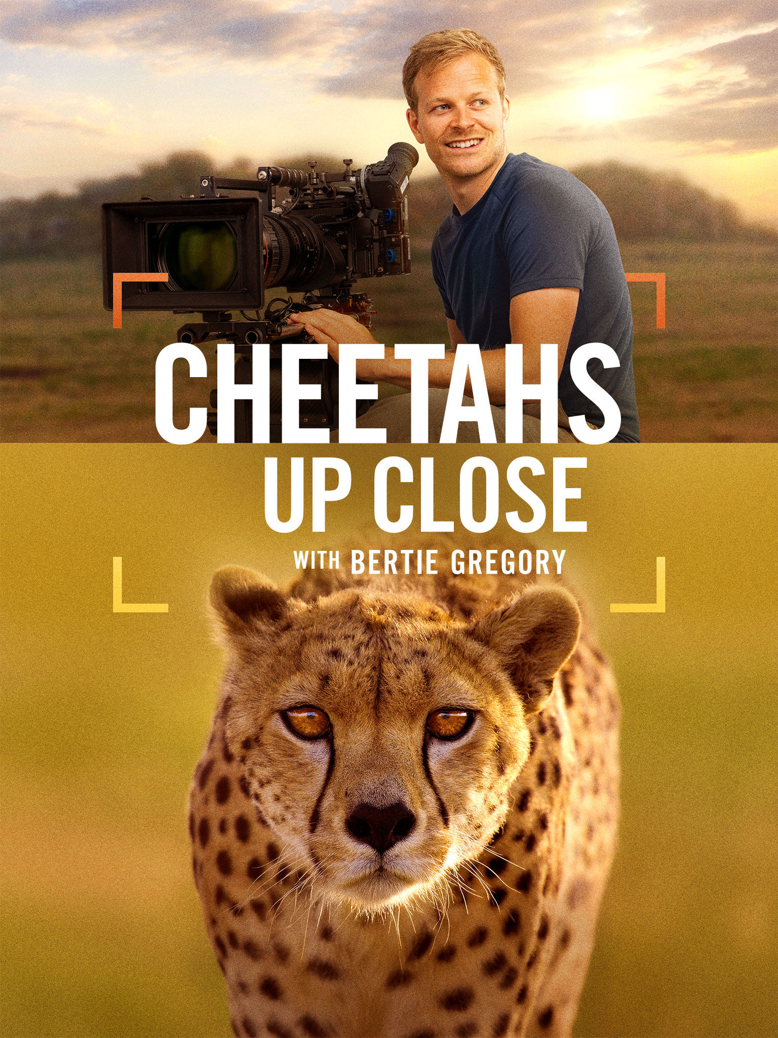 Cheetahs Up Close with Bertie Gregory  January 1 2026 on National Geographic
