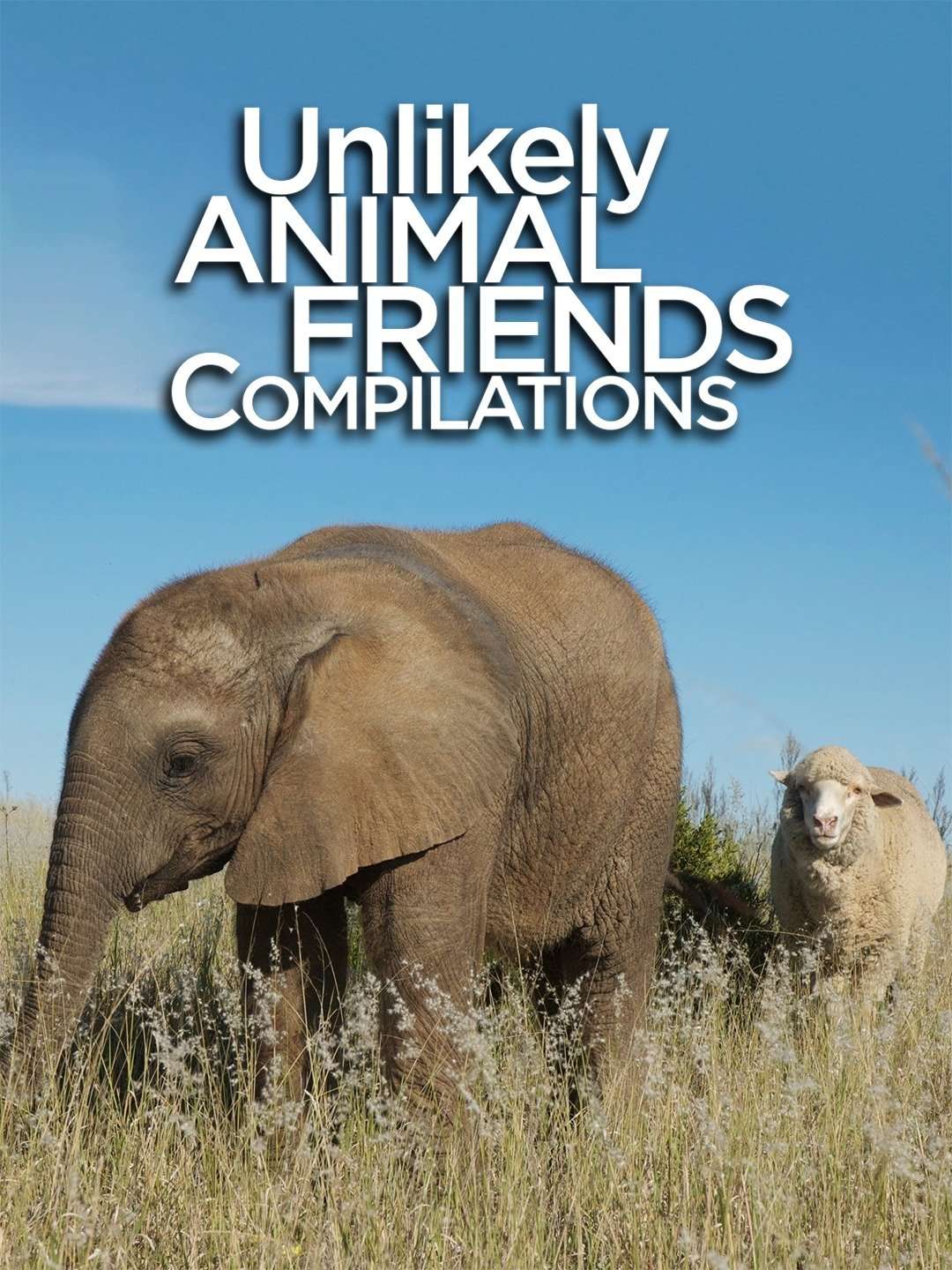 Unlikely Animal Friends Compilations S1 February 8 2026 on NGWIHD