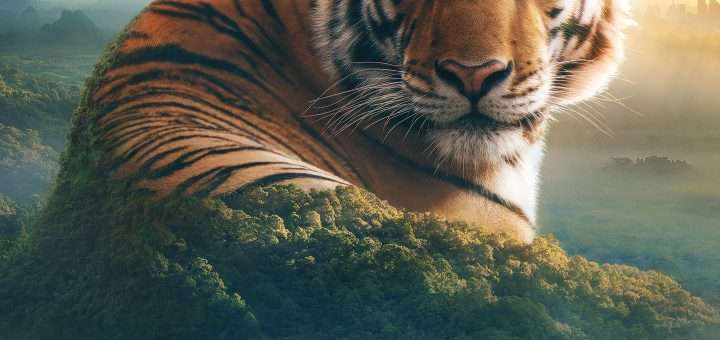 Planet Earth: Asia 