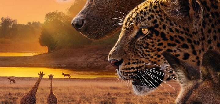 Planet Earth: Kingdom Season 1 Episode 1