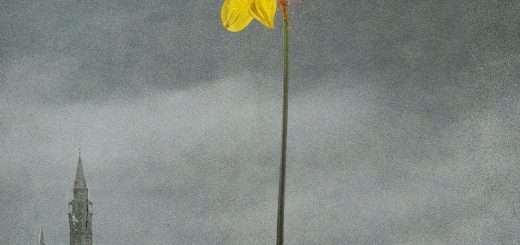 p32047223 b v13 aa 1