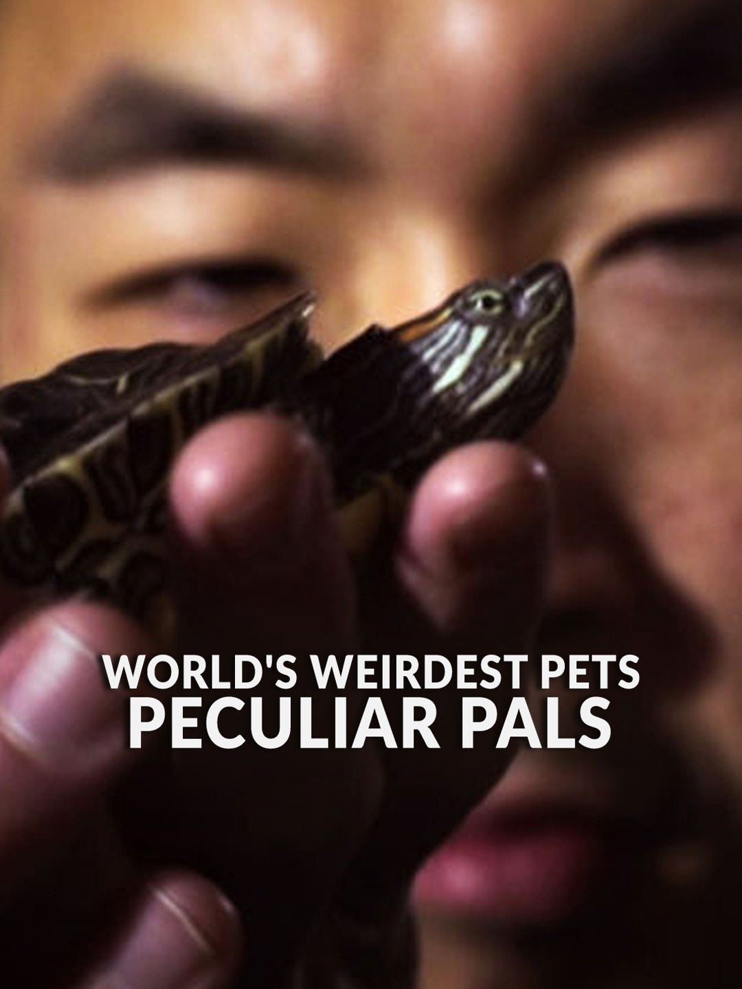 World’s Weirdest Pets: Peculiar Pals  February 15 2026 on NGWIHD