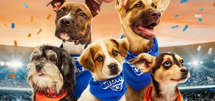 Puppy Bowl XXII Kickoff